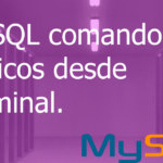 MySQL comandos básicos desde terminal