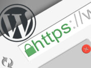 Cómo activar certificado SSL en WordPress Cómo activar certificado SSL en WordPress
